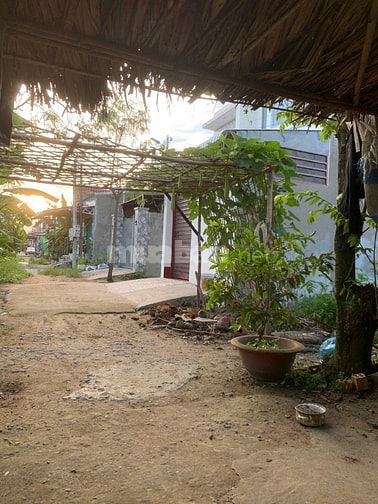 Bán Nền KDC Bờ Đai – Bình Minh, full thổ cư, Bình Minh, Vĩnh Long