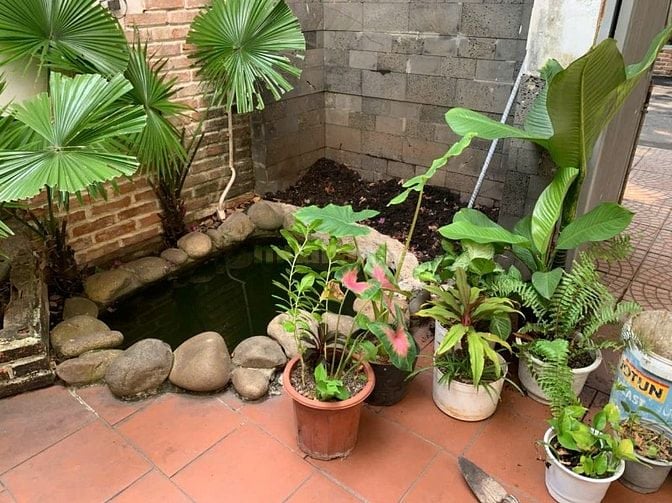 CHÍNH CHỦ CHO THUÊ NHÀ NGUYÊN CĂN 5x12m -ĐƯỜNG 48, HIỆP BÌNH CHÁNH