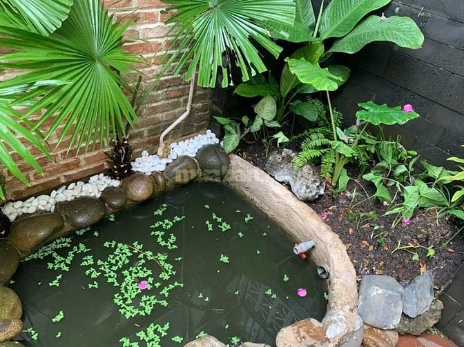 CHÍNH CHỦ CHO THUÊ NHÀ NGUYÊN CĂN 5x12m -ĐƯỜNG 48, HIỆP BÌNH CHÁNH