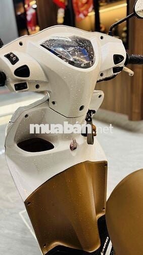 Honda Vision Fi - BSTP - Cavet theo xe đầy đủ