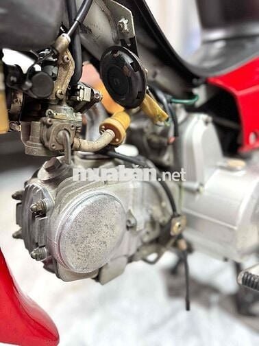 wawe apha đỏ cờ