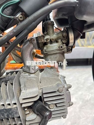 wawe apha đỏ cờ