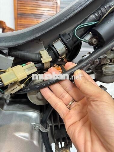 wawe apha đỏ cờ