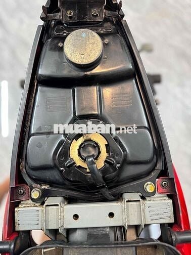 wawe apha đỏ cờ