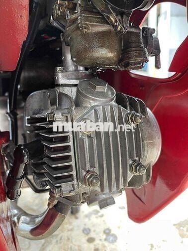 wawe apha đỏ cờ