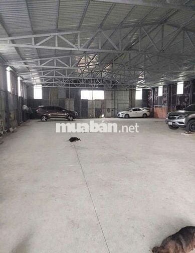 CHO  THUÊ  KHO  XƯỞNG ( 450 m2) XÃ  BÌNH  CHÁNH. HUYỆN  BÌNH  CHÁNH