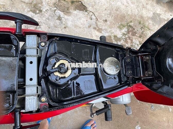 wawe apha đỏ cờ