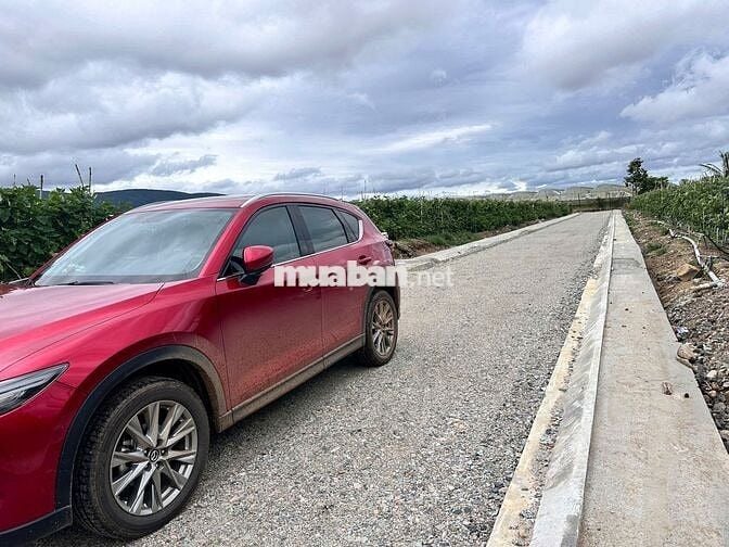 Bán đất Đơn Dương 105m² – sổ riêng, công chứng ngay, 630 triệu