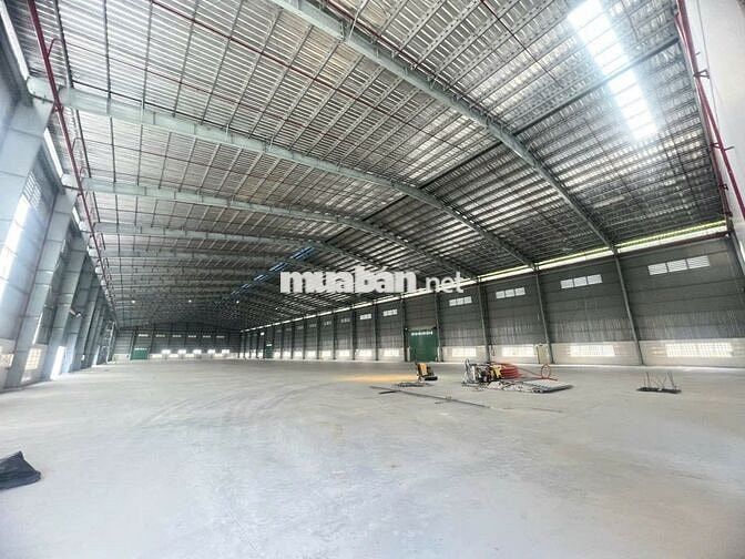 Cho thuê 5 kho tai KCN Đức Hòa Long An, container 24/24, PCCC tự động
