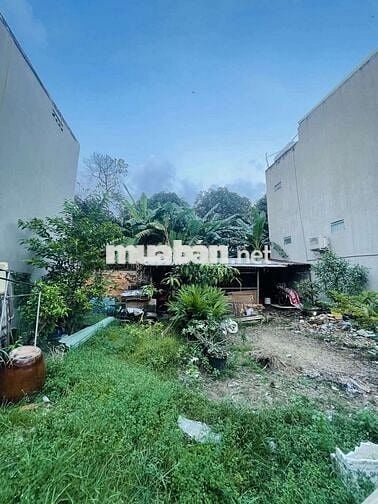 Bán Lô Đất Hẻm Xe Tải Đ.Số 8 Linh Xuân L.Đ.H Q. Gia  DT 153m 10×15.5