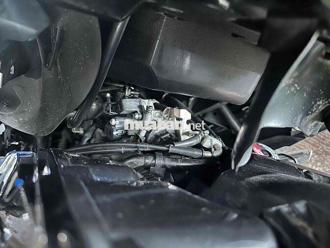 Vario 2019 zin kiểng