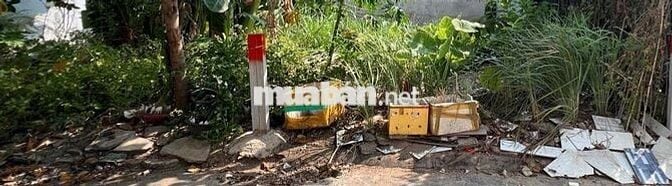 Chính chủ bán đất nền đường T15,P. An Phú Đông, Q12, TPHCM, 3,2 tỷ