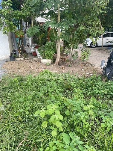 Bán đất đường 7 Linh Tây 76,7m2 ngang 5,3m đường ô tô xây nhà bao đẹp