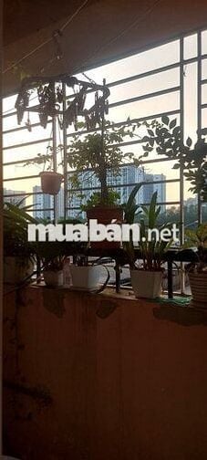 Bán cho thuê căn hộ CC khu đô thị Sài Đồng Bán cho thuê căn hộ CC khu đô thị Sài Đồng