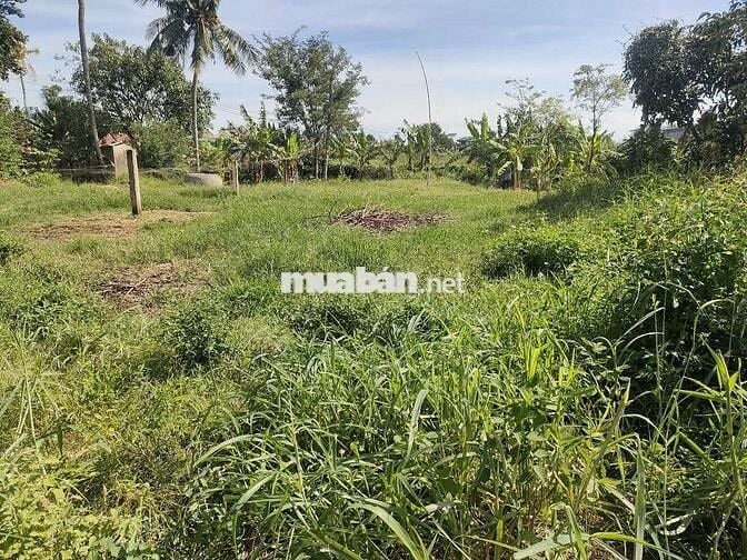 Cần bán lô đất 325m2 , giá chỉ hơn 4tr/m