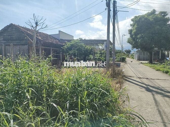 Cần bán lô đất 325m2 , giá chỉ hơn 4tr/m