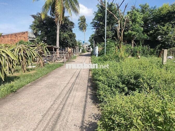 Cần bán lô đất 325m2 , giá chỉ hơn 4tr/m