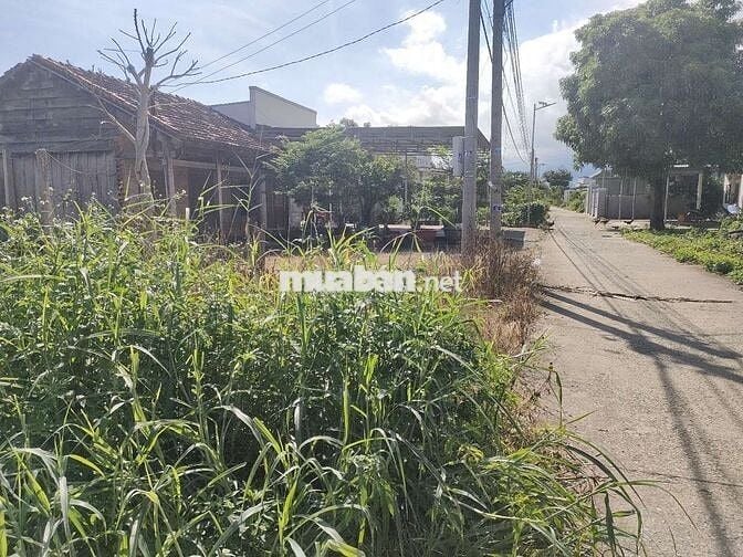 Cần bán lô đất 325m2 , giá chỉ hơn 4tr/m