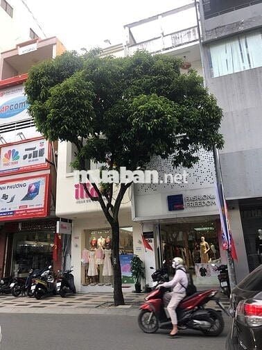 Nhà Đẹp - Vị trí vip MT Nguyễn Trãi Quận 1 gần vòng xoay (4x26) 3 Tầng