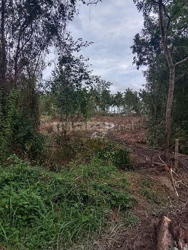 Bán 2 lô đất chính chủ 2 mặt tiền Biển & đường bộ, Ấp Bãi Vòng, PQuốc