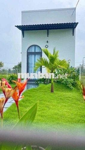 🔴 (NCC) CHO THUÊ NHÀ VƯỜN HIỆN ĐẠI, NỘI THẤT SANG TRỌNG - KHU NAM HOÀ