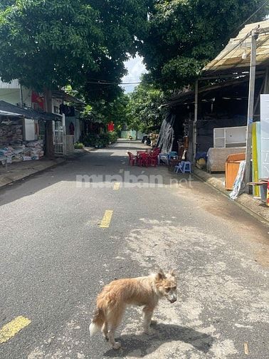 CHO THUÊ NHÀ SÂN VƯỜN DT 10 * 60m  - GẦN VINHOMS QUẬN 9