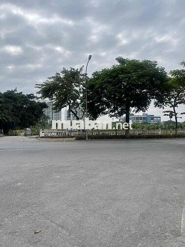 🏡 BÁN ĐẤT PHÚC LỢI– ĐẦU TƯ SINH LỜI CAO – SỔ ĐỎ SẴN SÀNG GIAO DỊCH 🏡 BÁN ĐẤT PHÚC LỢI– ĐẦU TƯ SINH LỜI CAO – SỔ ĐỎ SẴN SÀNG GIAO DỊCH