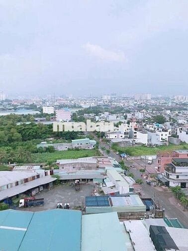 CHỦ GỞI BÁN CĂN HỘ LÊ THÀNH TÂN TẠO GIÁ RẺ NHẤT/100  BAO PHÍ SANG TÊN