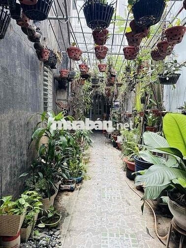 HẺM Ô TÔ 8M - NGUYỄN VĂN ĐẬU - 90M2 - 8.6TỶ