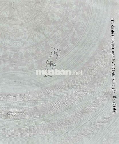 Đông Vinh Đông Mỹ, chủ cần tiền nên bán gấp nhà mới xây. Đông Vinh Đông Mỹ, chủ cần tiền nên bán gấp nhà mới xây.