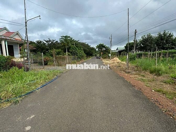 Cách chợ Tân Phước 500 m. Vườn đậu ve, đậu rồng lên được thổ cư 380tr