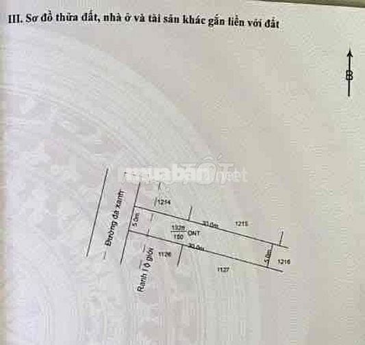 ĐẤT THỔ CƯ SỔ ĐỎ 250m2 ĐỨC HOÀ ĐÔNG - LONG AN