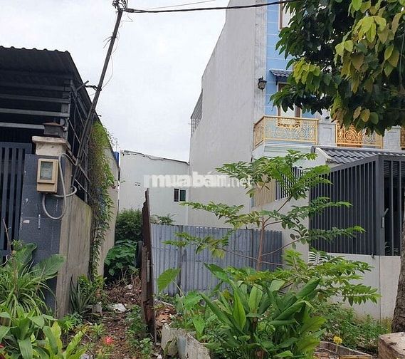 Bán lô đất thổ cư 5x23 mặt tiền nhựa 10m tại Xuân Thới Thượng, Hóc Môn