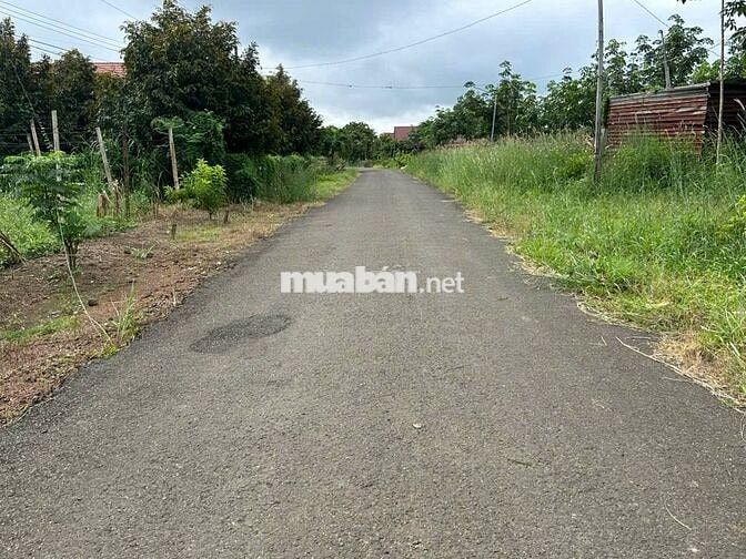 Cách chợ Tân Phước 500 m. Vườn đậu ve, đậu rồng lên được thổ cư 380tr