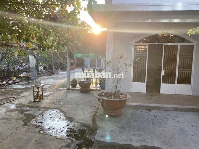 Cho thuê nhà . Tân hiệp . Hóc môn 500m2 . Cách chợ hoc môn 1,5km