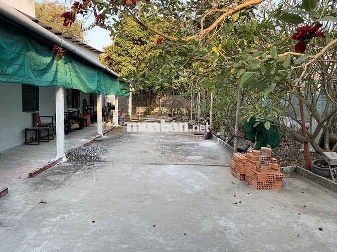 Cho thuê nhà . Tân hiệp . Hóc môn 500m2 . Cách chợ hoc môn 1,5km