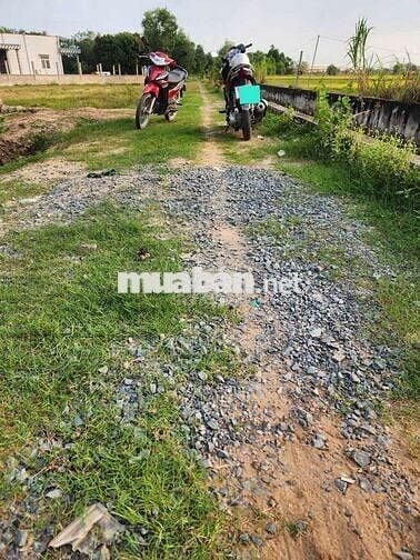 DT 330m2 có 2 căn nhà liền kề, 1 miếng đất, xã Đức Lập.SHR chính chủ