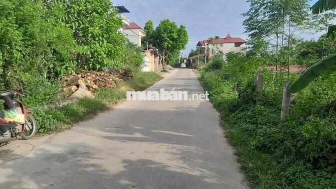 Gấp Chủ cần bán nhanh, rẻ nhất Sóc Sơn chưa bao giờ có!! Gấp Chủ cần bán nhanh, rẻ nhất Sóc Sơn chưa bao giờ có!!