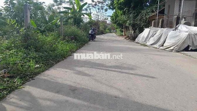 Gấp Chủ cần bán nhanh, rẻ nhất Sóc Sơn chưa bao giờ có!! Gấp Chủ cần bán nhanh, rẻ nhất Sóc Sơn chưa bao giờ có!!