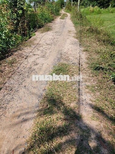 DT 330m2 có 2 căn nhà liền kề, 1 miếng đất, xã Đức Lập.SHR chính chủ