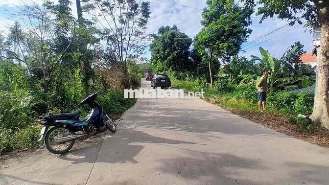 Gấp Chủ cần bán nhanh, rẻ nhất Sóc Sơn chưa bao giờ có!! Gấp Chủ cần bán nhanh, rẻ nhất Sóc Sơn chưa bao giờ có!!