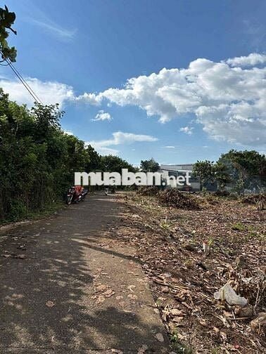 đất nền thổ cư sổ riêng ,dân cư hiện hữu ,điện nước đầy đủ, đường thôn