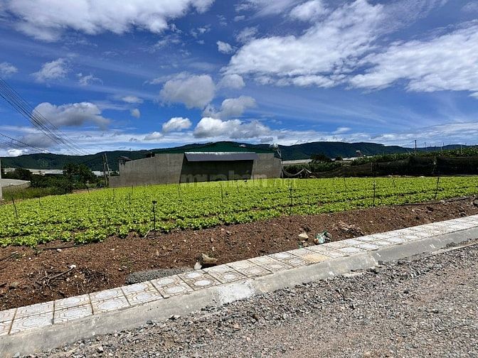 Đất gần chợ Thạnh Mỹ – pháp lý rõ ràng, bao sổ, chỉ 630 triệu 