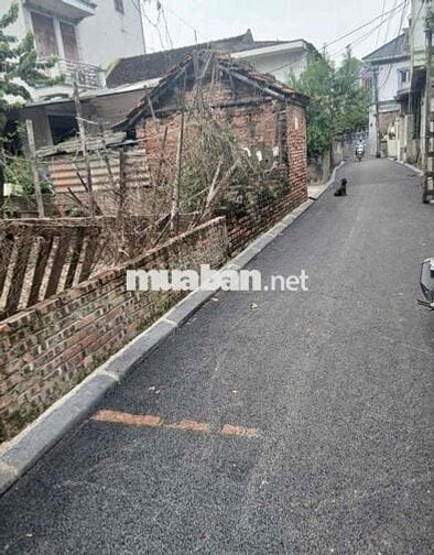 56m vĩnh thanh ngọc chi đông anh đường thông ô tô vào đất cạnh cầu NT 56m vĩnh thanh ngọc chi đông anh đường thông ô tô vào đất cạnh cầu NT