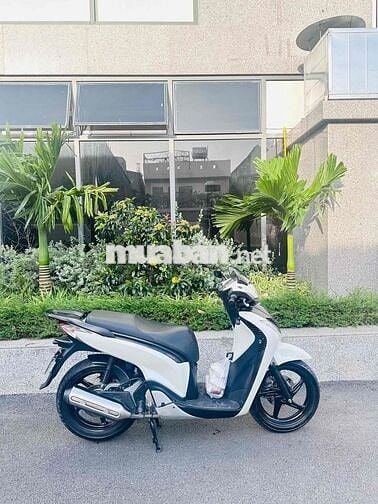 Ban Sh Ý 150 bstp 65555