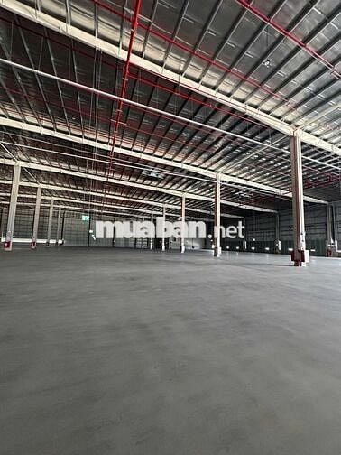 CHO THUÊ KHO HÀNG LOGISTICS  KHO NGOẠI QUAN 60.000m² KCN Hải Sơn