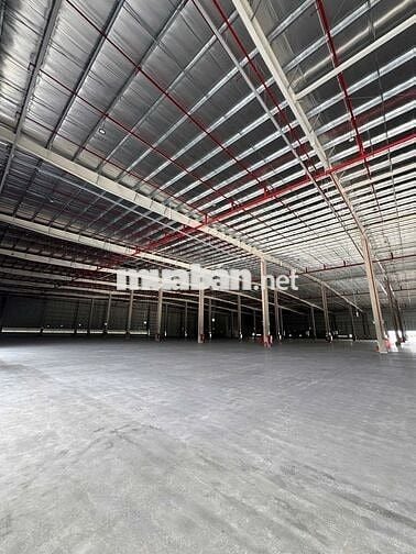 CHO THUÊ KHO HÀNG LOGISTICS  KHO NGOẠI QUAN 60.000m² KCN Hải Sơn