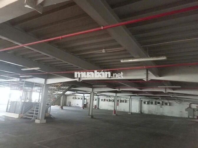 Cho thuê kho xưởng 9.000m2 , tại KCN Đức Hòa , Long An , PCCC tự động