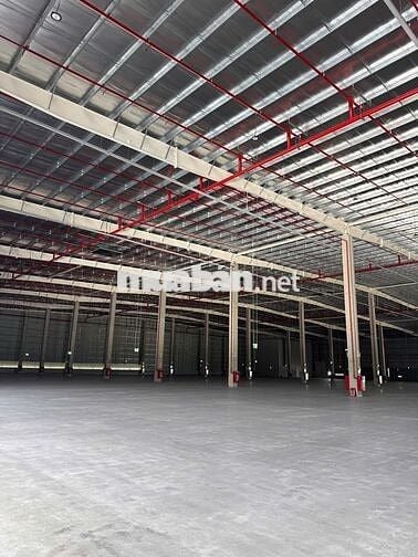 CHO THUÊ NHÀ XƯỞNG MỚI NGOÀI KHU CÔNG NGHIỆP – ĐỨC HÒA, TÂY NINH