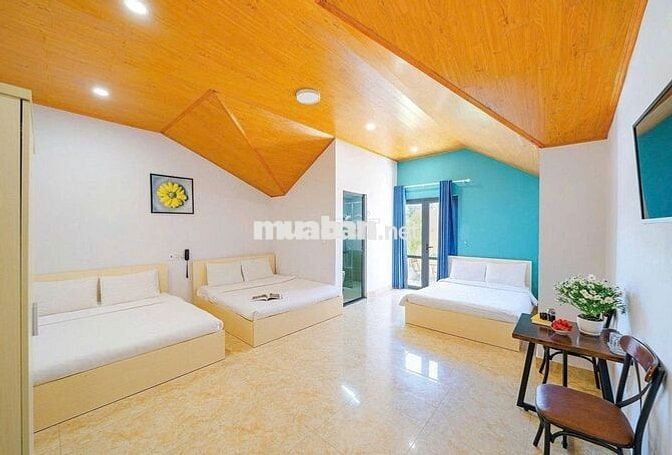 Cho thuê khách sạn 24 phòng phường 2 trung tâm thành phố Đà Lạt giá